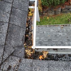 Gutter Cleaner