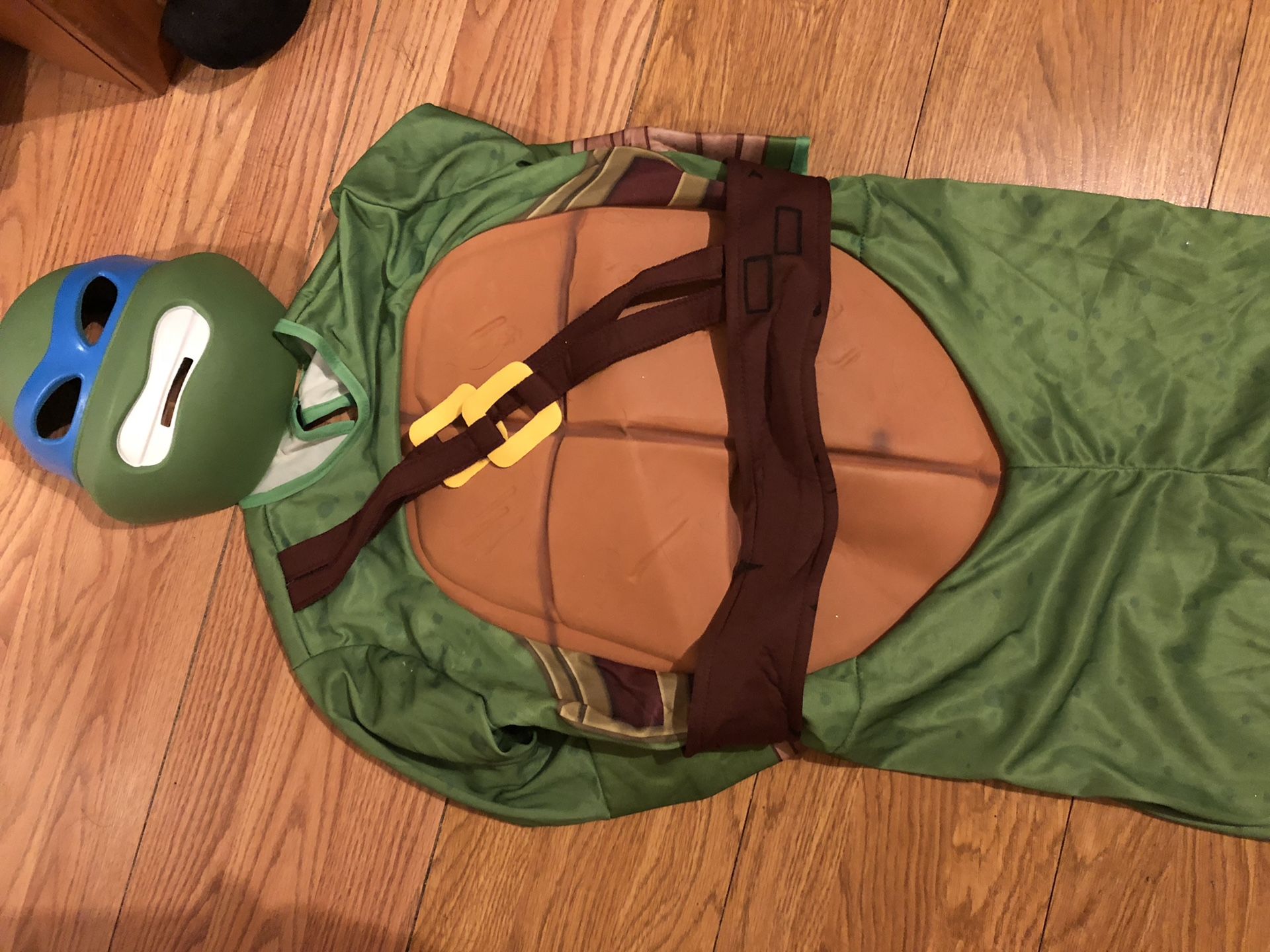 Ninja turtle custom