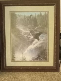 Beautiful picture in frame
