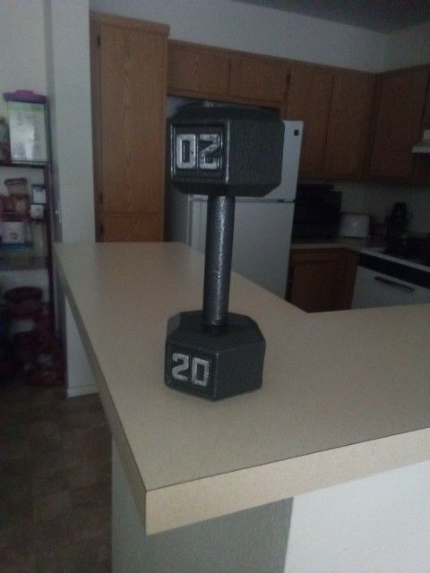 20 Pound Dumbbell
