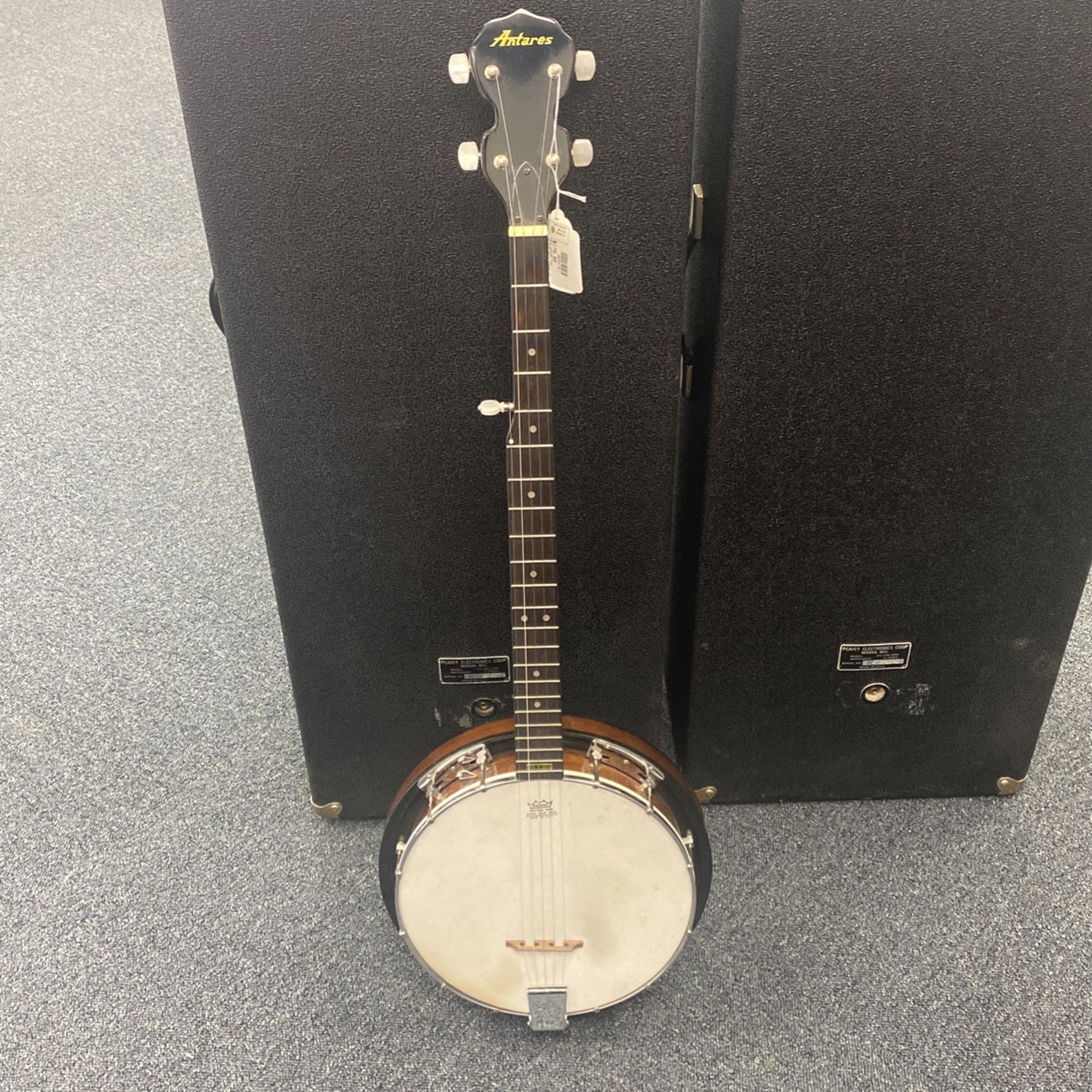 Remo Weather King Banjo