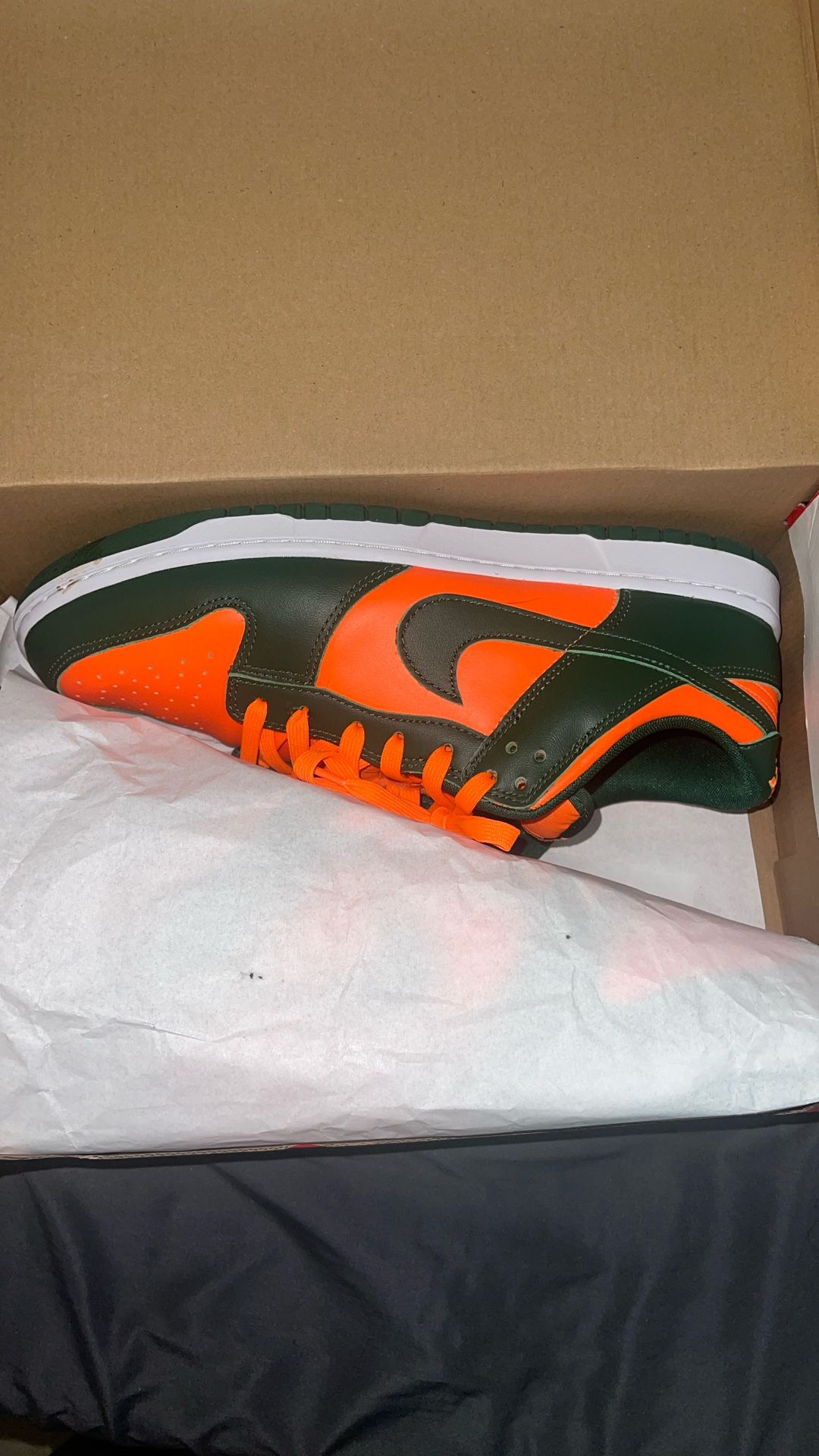 Nike Dunk Miami Hurricanes Size 13