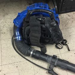 Leaf Blower Echo