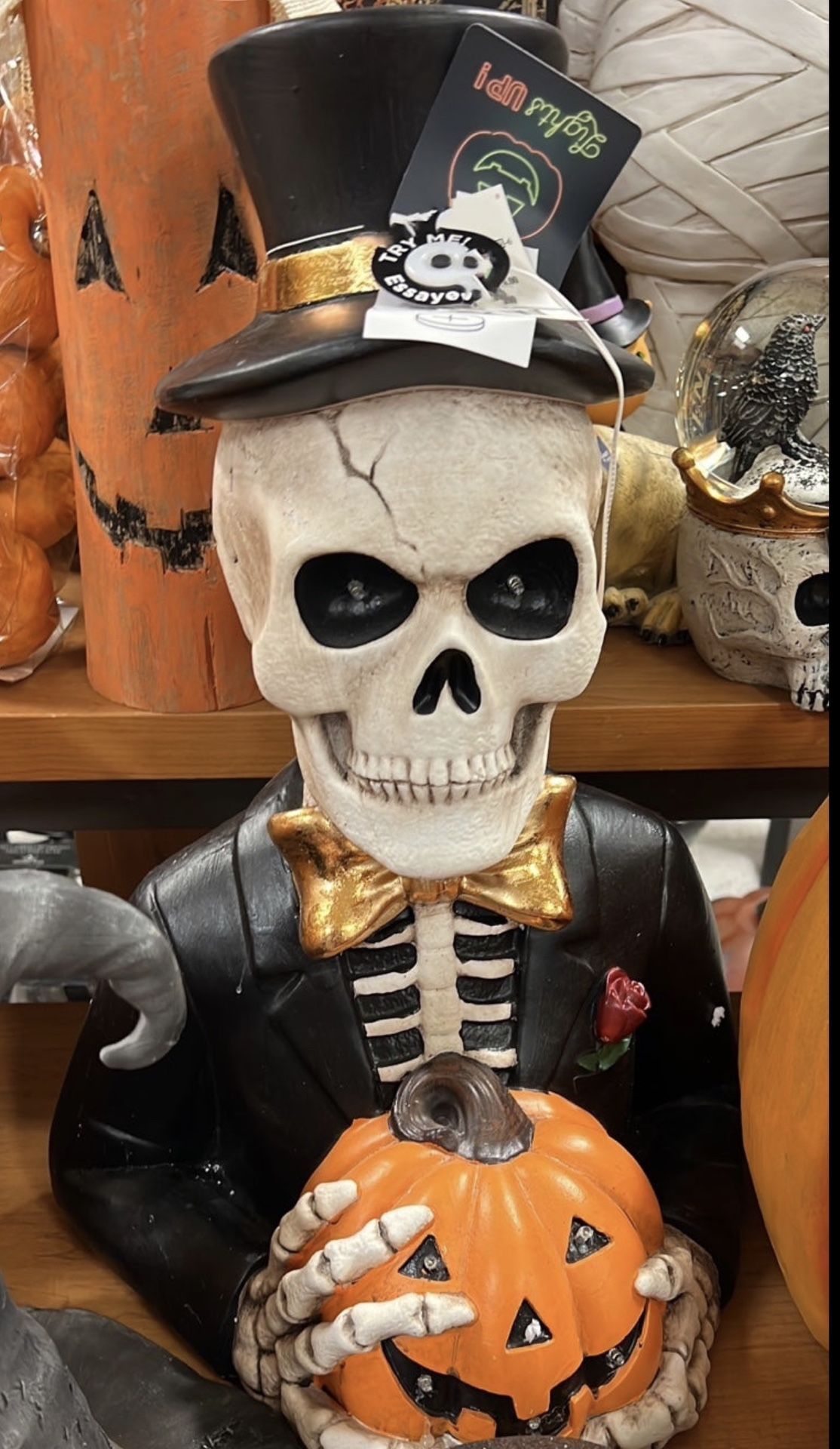 Light Up Skeleton With Pumpkin 