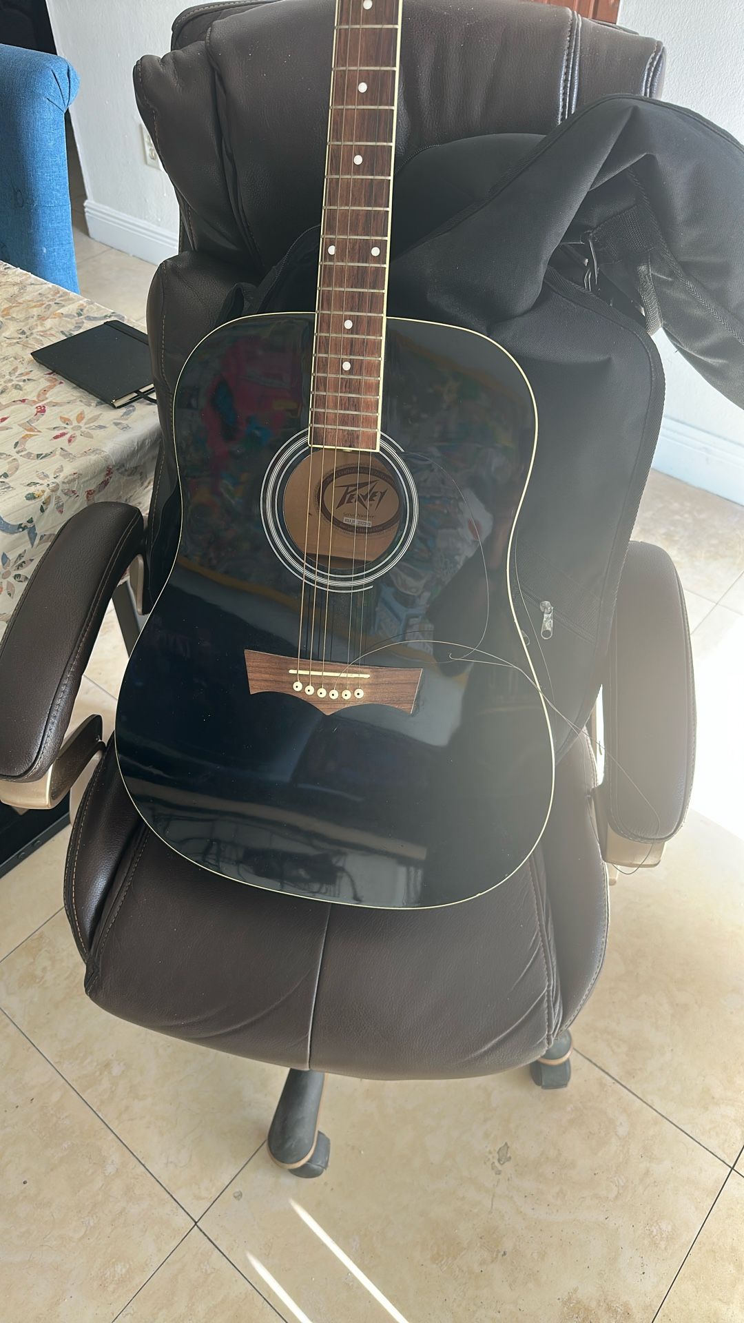 Peavey Acoustic Guitar + Carrying Case Bag