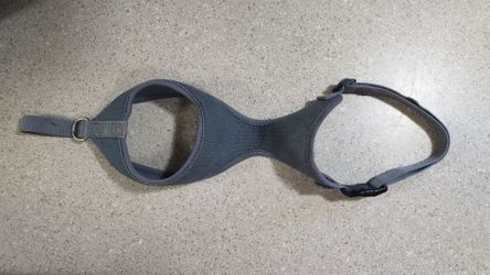 Small Dog 🐕‍🦺 Harness 🐾