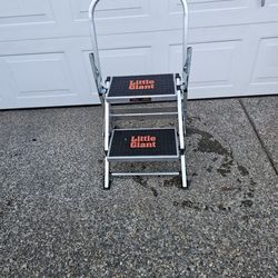 Little Giant 2-Step Ladder