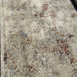 Area Rug 7’10” X 10’7”