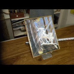 Framed Unicorn Pic 
