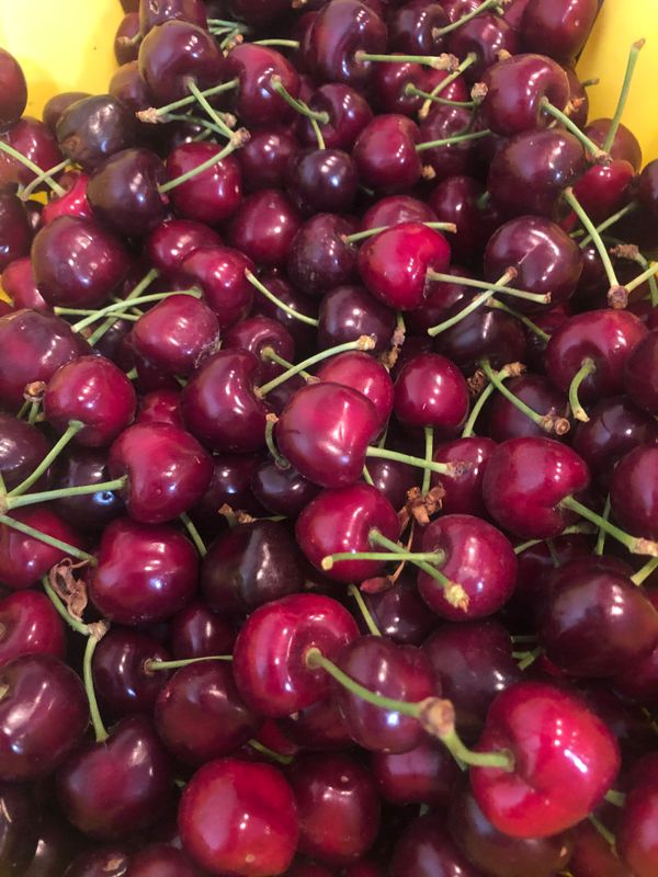 FRESH CHERRIES from YAKIMA for Sale in WA OfferUp