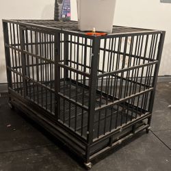 Black Steel Cage