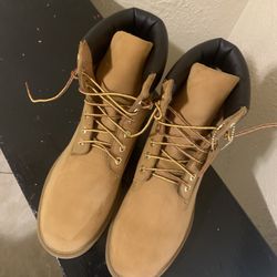 Men Timberland 