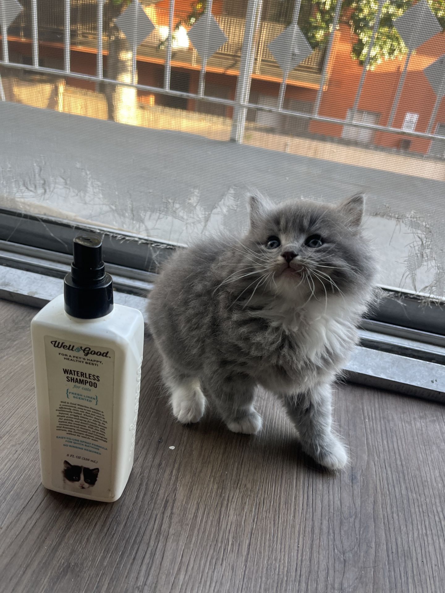 Cat Waterless Shampoo 