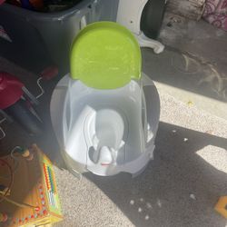 Potty Chair