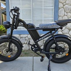 Riding Times Z8 Electric Bike 