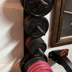 Free Weights, Straight Bar, Curl Bar, Dumbell Handles 