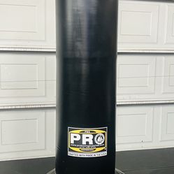 Punching Bag