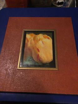 Yellow Tulip hanging picture