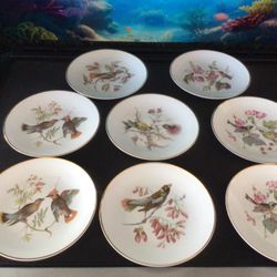 VTG Bavaria Debra Porcelain Bird Plates With Gold Trim #4248 056
