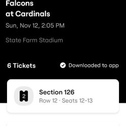 Falcons vs Cardinals Game