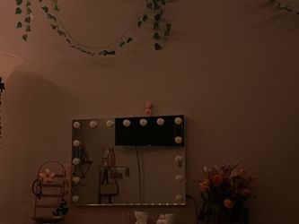 Light up vanity mirror