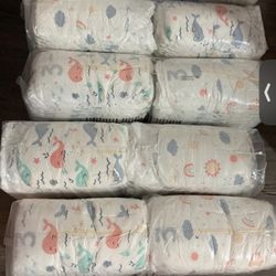 Size 3 Diapers 