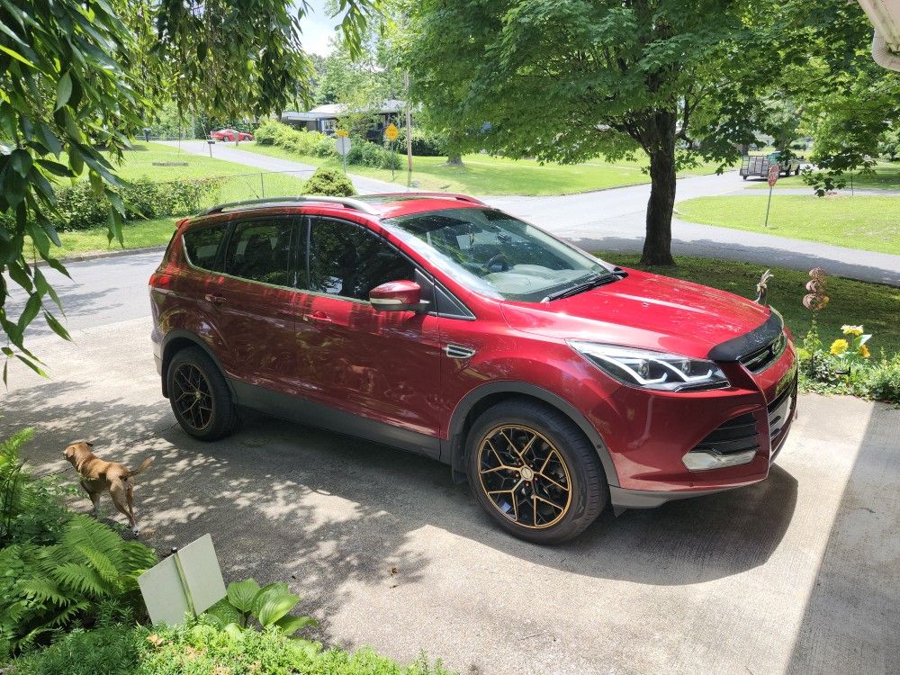 2014 Ford Escape