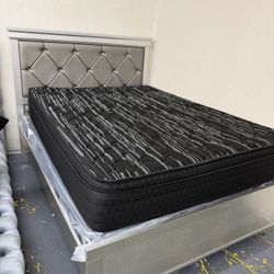 New Queen + Pillow Top Set