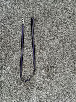 Dog Leash