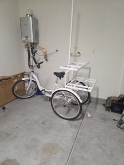 Schwinn Adult Tricycle White