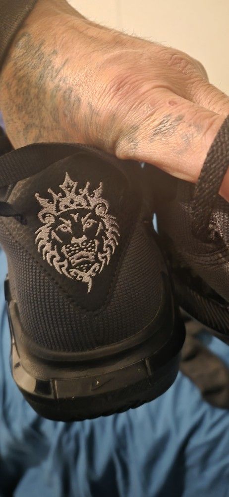 Nike LeBron JAMES WITNESS 7