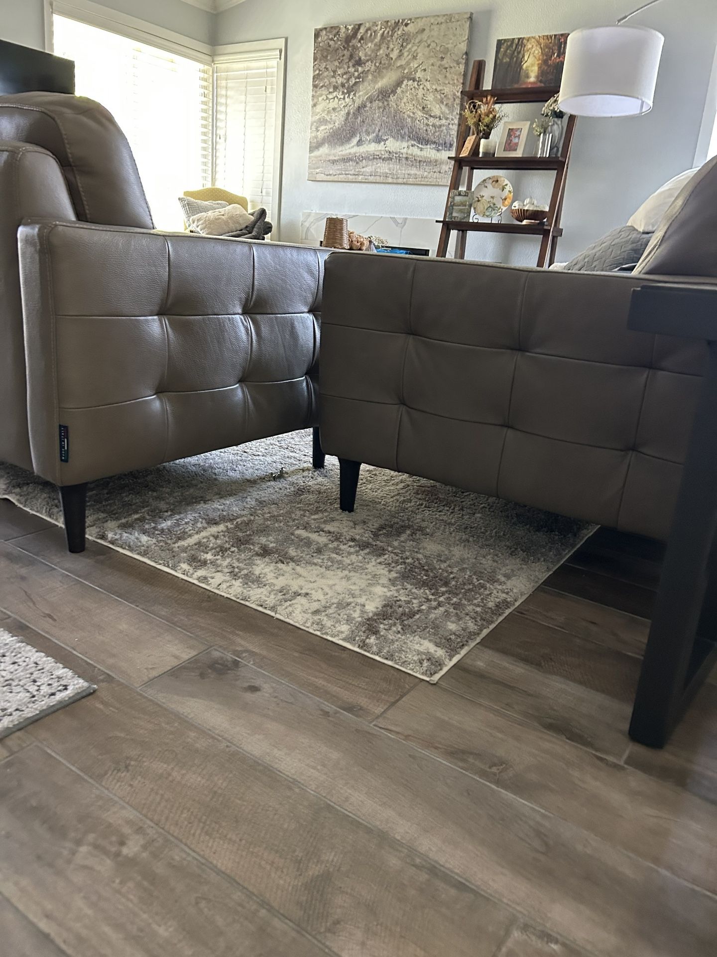 Couches/ Sofas 