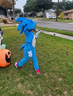 Sonic hedgehog costume