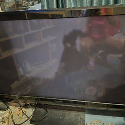 panasonic plasma hdtv tc-50px24