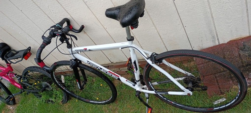 Genesis Hybrid Bike