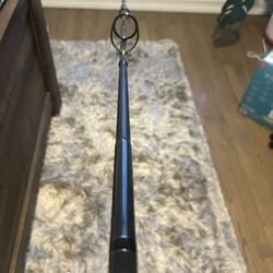 Phenix Black Diamond Spinning Rod