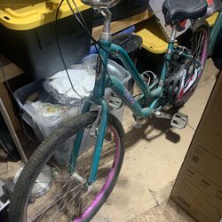 Schwinn Bike