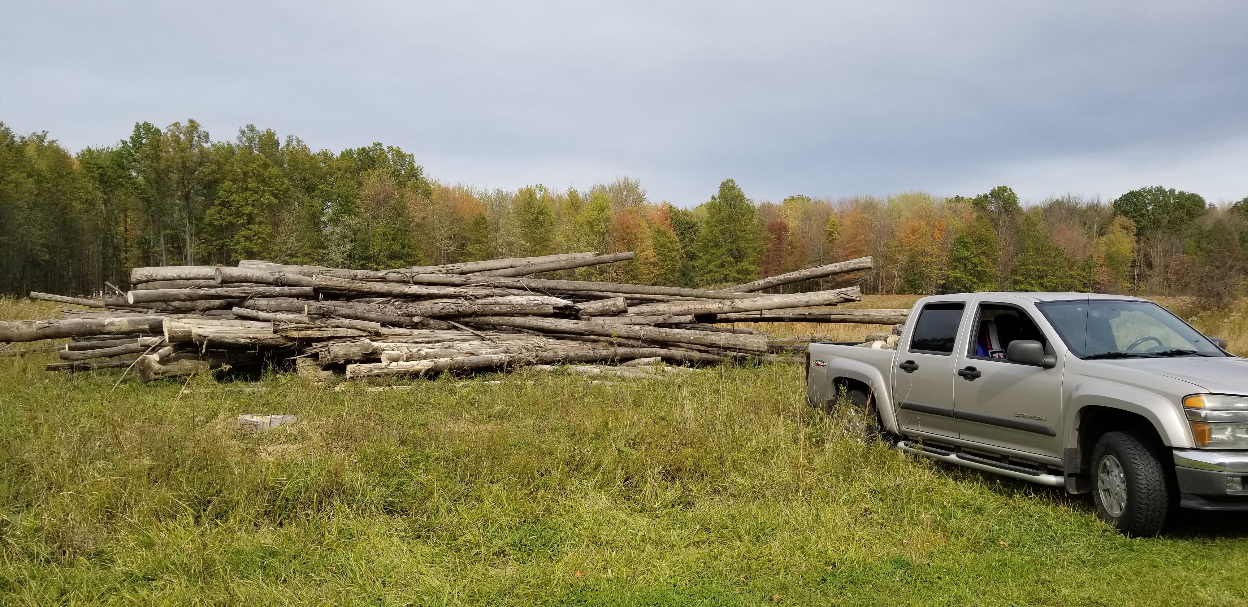 Fire wood, oak, maple, cherry 8 months old