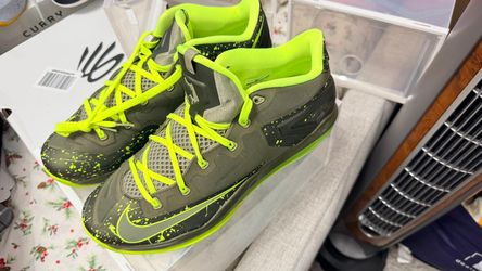 Lebron 11 low dunkman