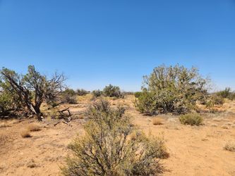 36 Acres Chevelon Canyon Ranch, Heber, AZ