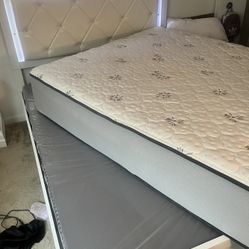 Queen Size Bed Plus Head Board And Box Spring 