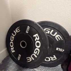 Olympic Weight Set + Optional Bench