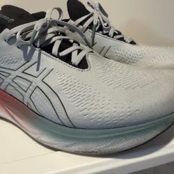 Mens Asics Gel Nimbus 25 Piedmont Grey/Foggy Teal Sz 12