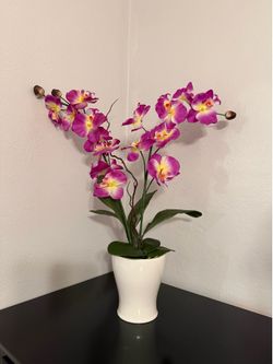 DECORARIONS
