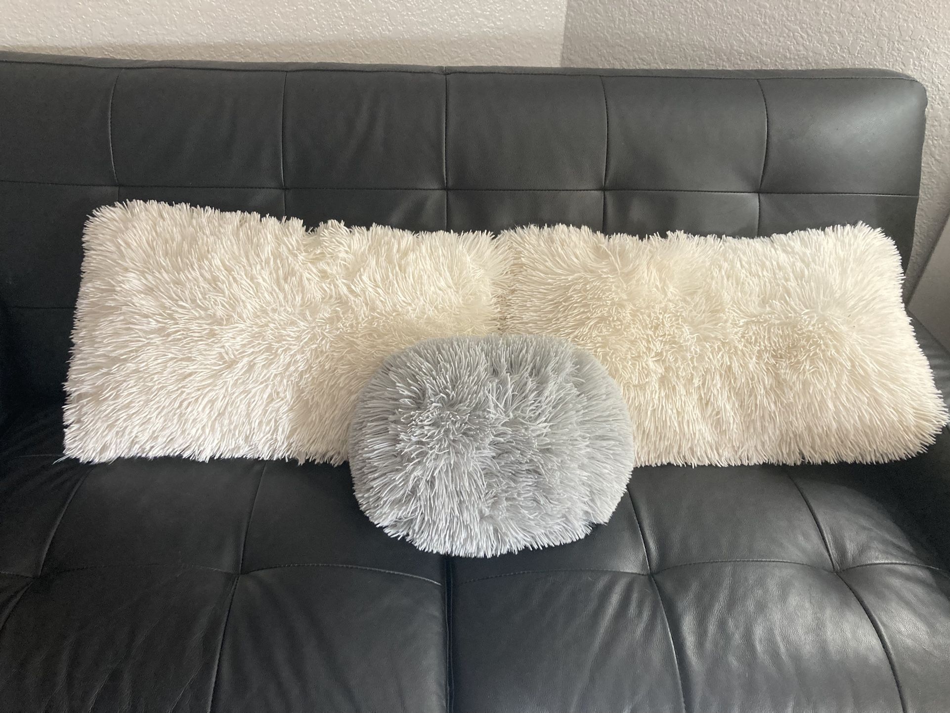 Couch Pillows