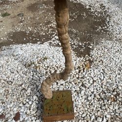 Wooden Branch  For Event With A Box For Flowers