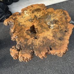 Burl Wood Table