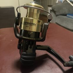 Shakespeare Tidewater SS