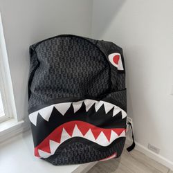 4FT Sprayground Backpack 