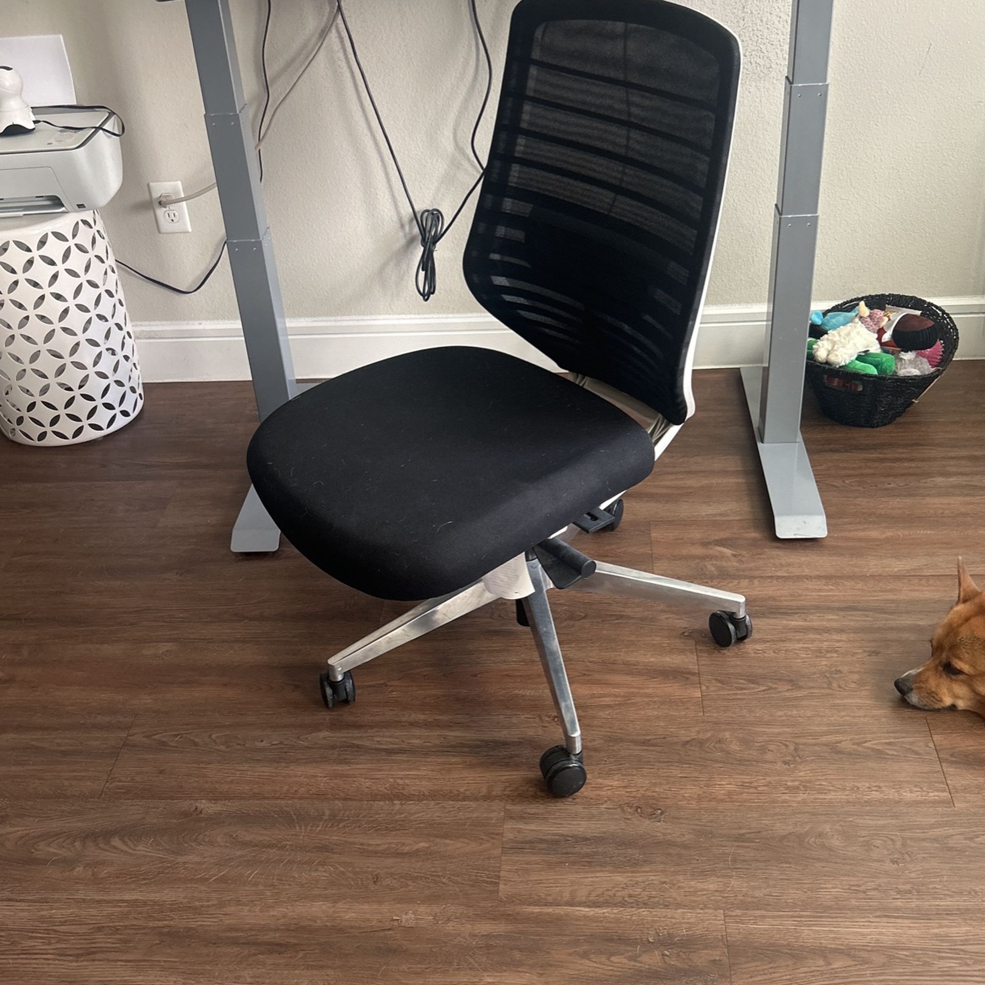 Branch Ergonomic Office Chair